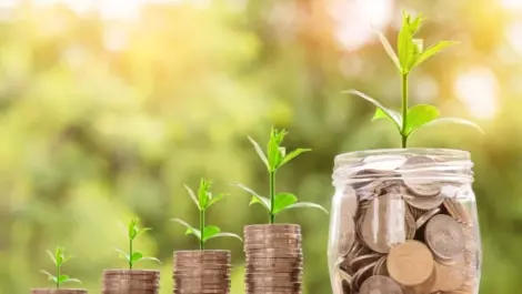 Little jars of money with plants in them at {{location_name}}